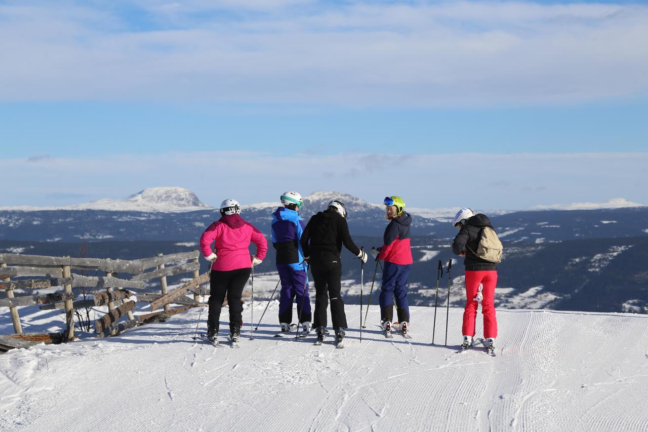 Gomobu Fjellstue 호텔 론 외부 사진