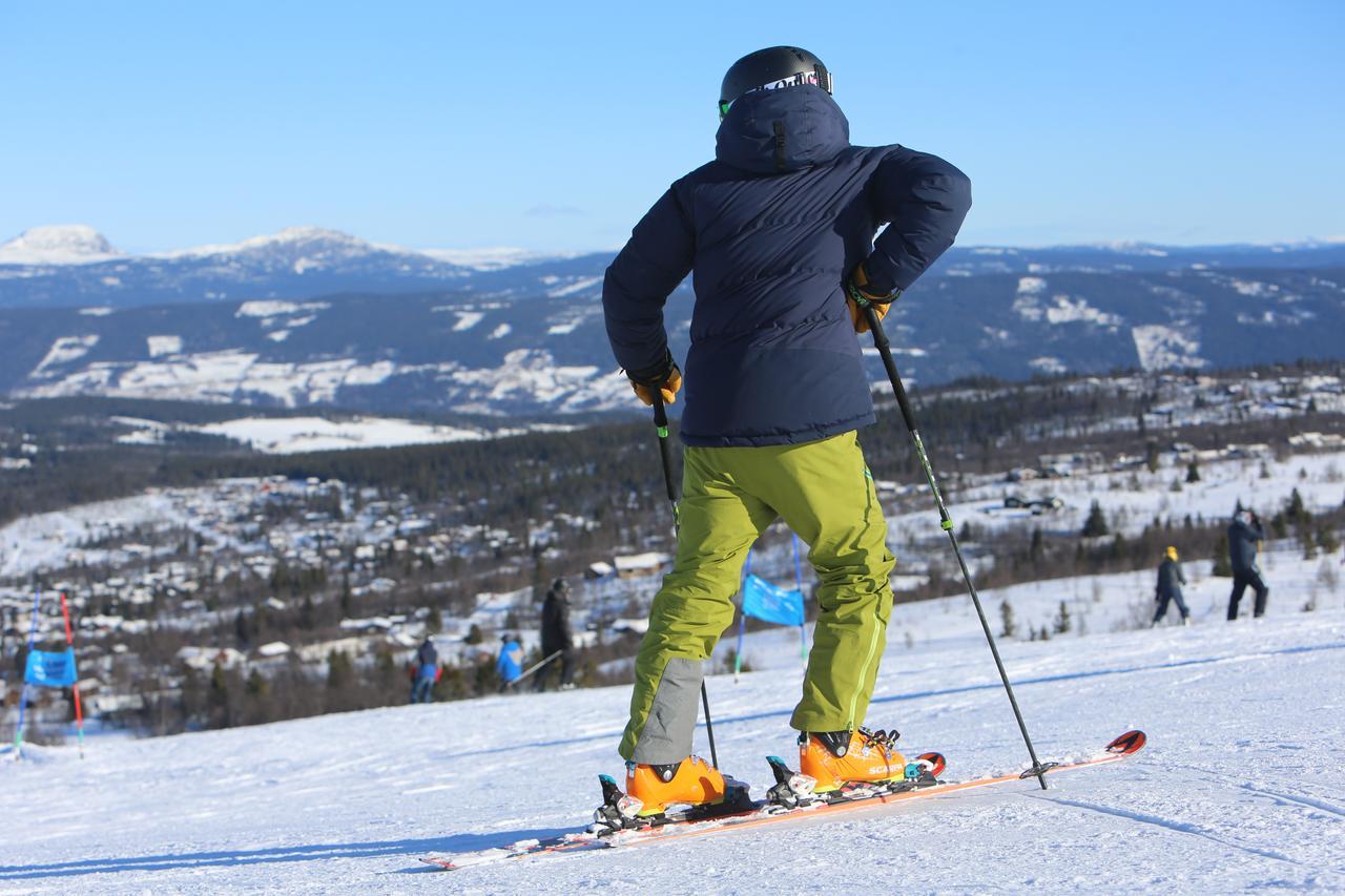Gomobu Fjellstue 호텔 론 외부 사진